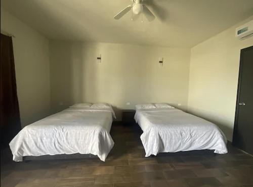 Hotel & Hostal 230 วัลลาโดลิด ภายนอก รูปภาพ